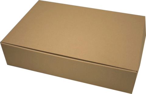 Cutii Transport Prajituri 45x30x10 CM Natur