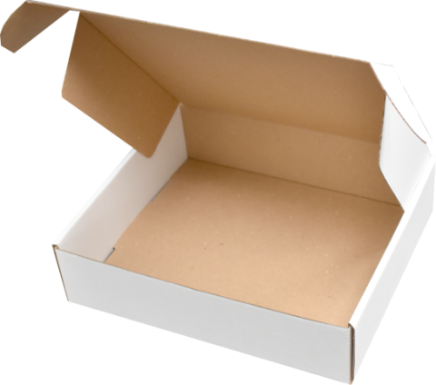Cutii Transport 30x25x9 CM Albe